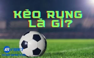 Kèo rung là gì định nghĩa và ý nghĩa