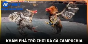 Khám phá trò chơi đá gà Campuchia tại F8BET